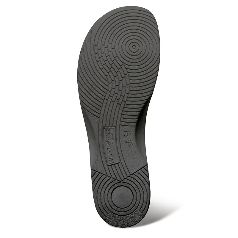MODEL Globia