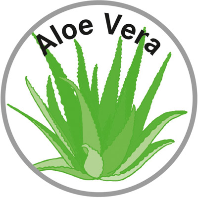 Aloe Vera korte sokjes